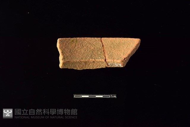 陶罐藏品圖，第2張