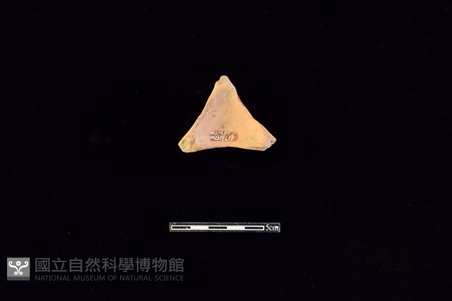 連杯形器藏品圖，第2張