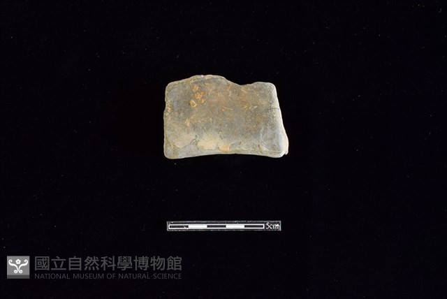 連杯形器藏品圖，第2張