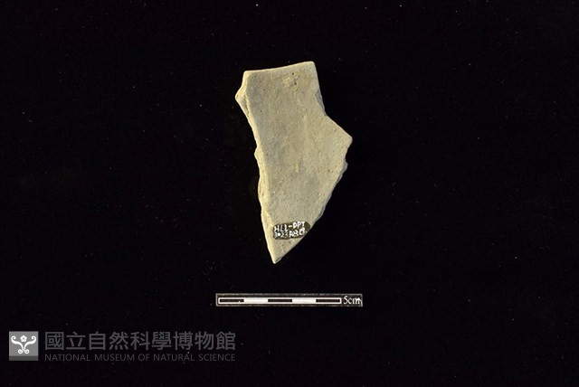 陶片藏品圖，第2張