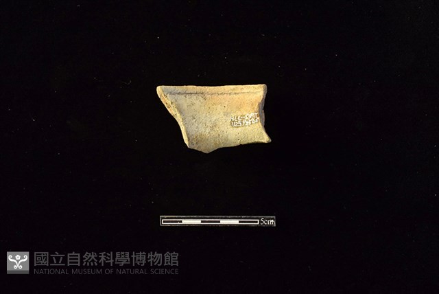 陶罐藏品圖，第2張