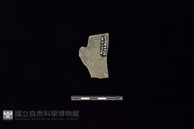 陶片藏品圖，第2張