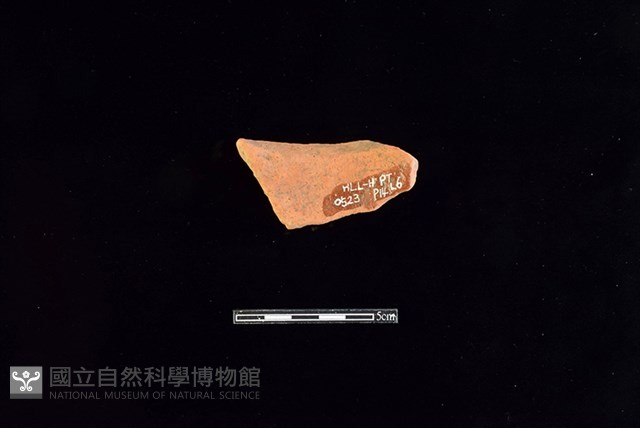 陶片藏品圖，第2張