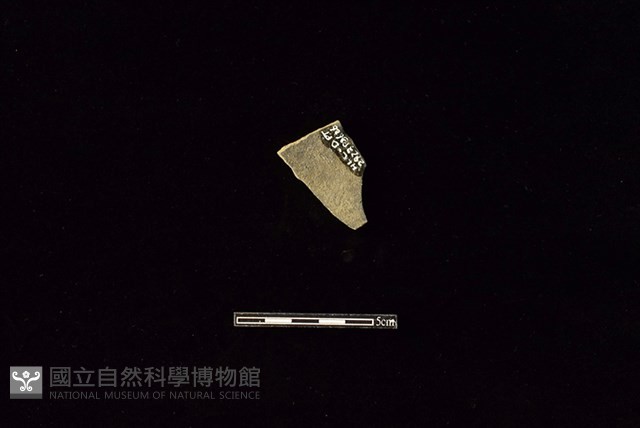 陶片藏品圖，第2張