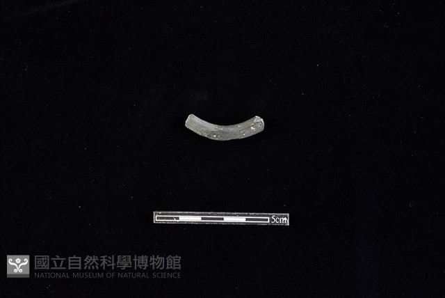 陶環藏品圖，第2張