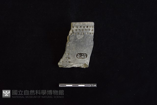 陶罐藏品圖，第2張