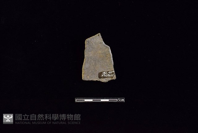 陶片藏品圖，第2張