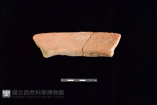 Accession Number:HLL-H PT0696 Collection Image, Figure 2, Total 2 Figures