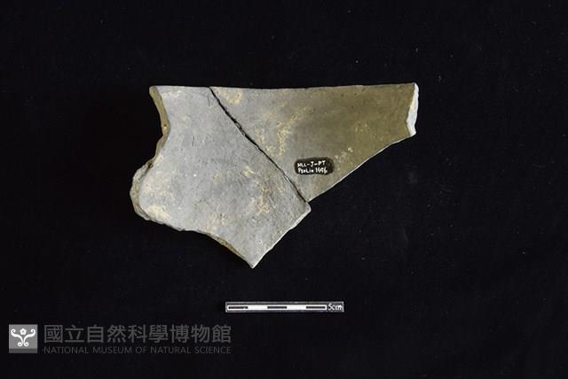 陶罐藏品圖，第2張