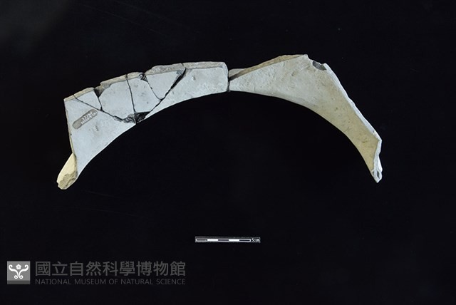 陶罐藏品圖，第2張