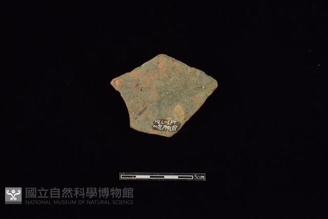 陶片藏品圖，第2張