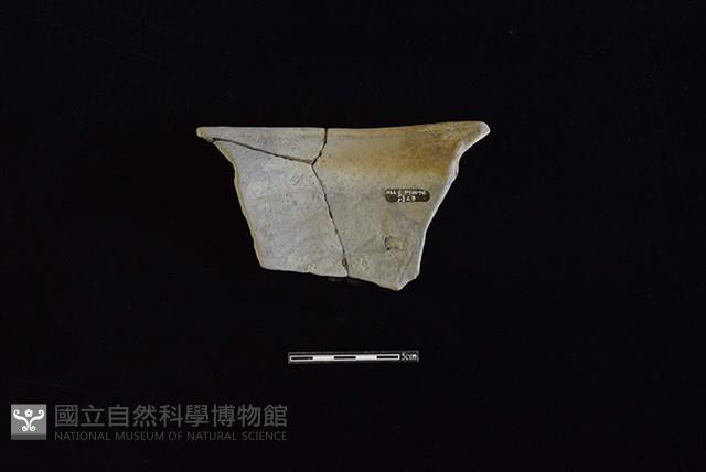 陶罐藏品圖，第2張