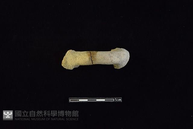 陶把藏品圖，第2張