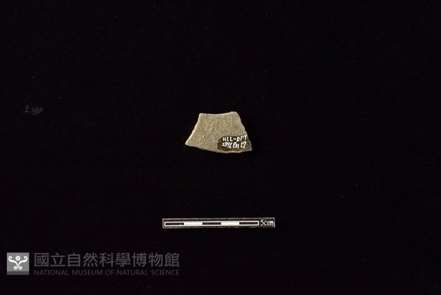 陶片藏品圖，第2張
