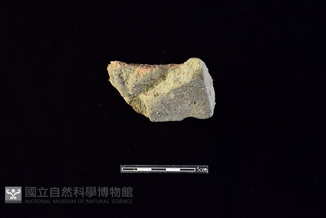 陶片藏品圖，第2張