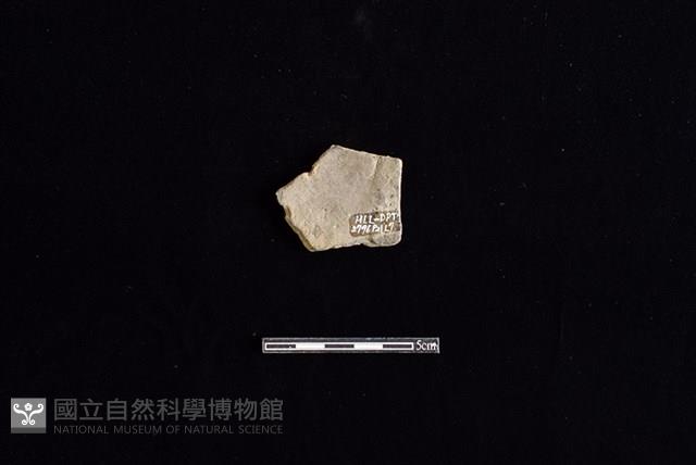 陶片藏品圖，第2張