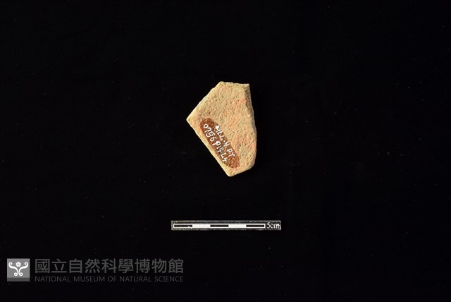 陶片藏品圖，第2張