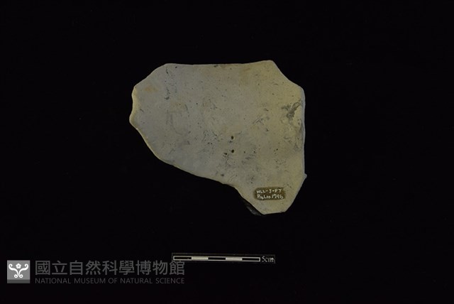 陶罐藏品圖，第2張