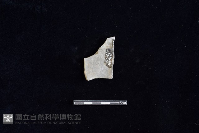 陶片藏品圖，第2張