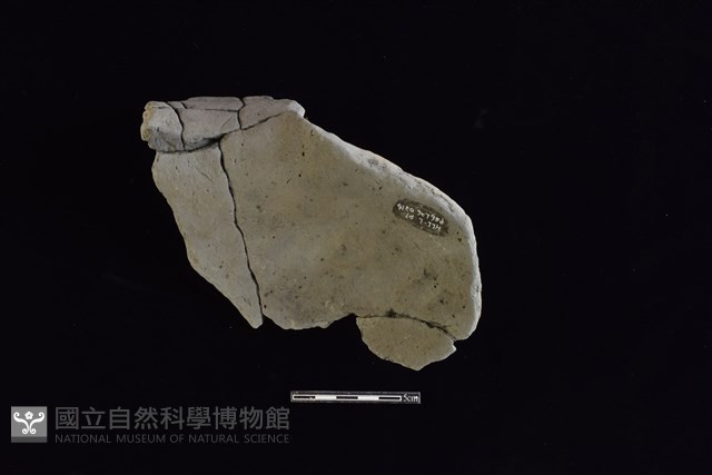 陶罐藏品圖，第2張