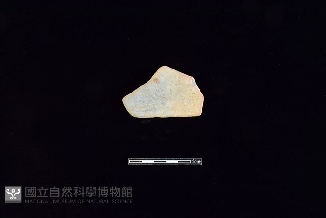 陶片藏品圖，第2張