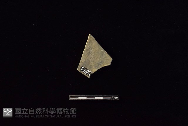 陶片藏品圖，第2張