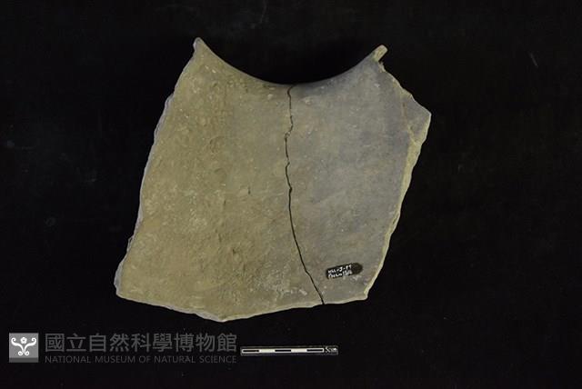 陶罐藏品圖，第2張