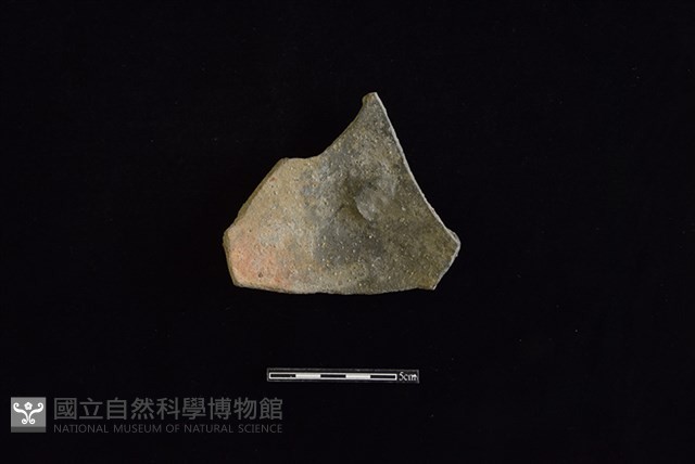 陶蓋鈕藏品圖，第2張
