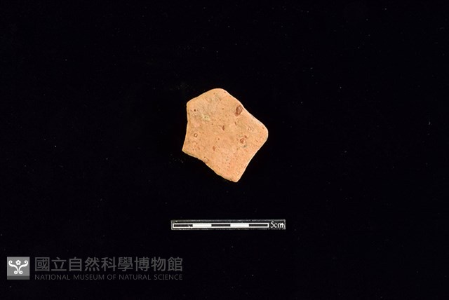 陶片藏品圖，第2張