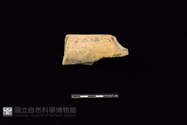 陶罐藏品圖，第2張