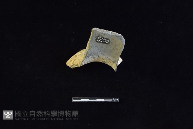 陶罐藏品圖，第2張