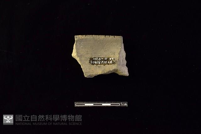 陶罐藏品圖，第2張