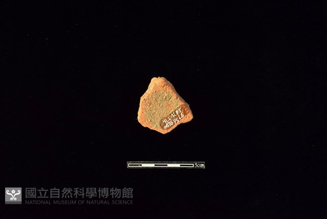 陶片藏品圖，第2張