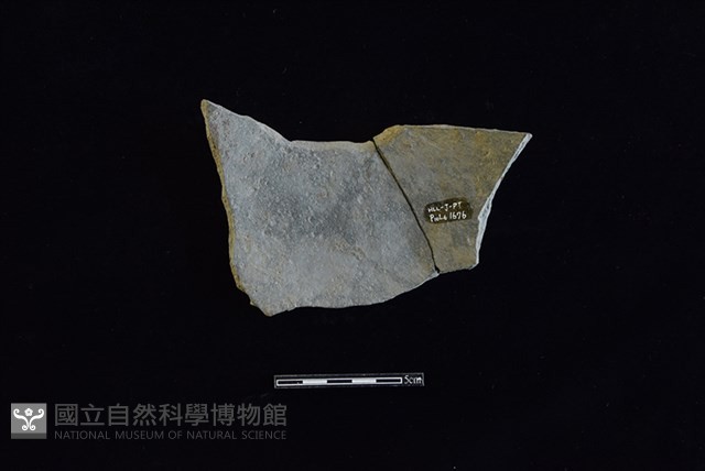 陶罐藏品圖，第2張