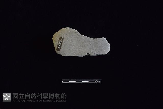 陶蓋鈕藏品圖，第2張