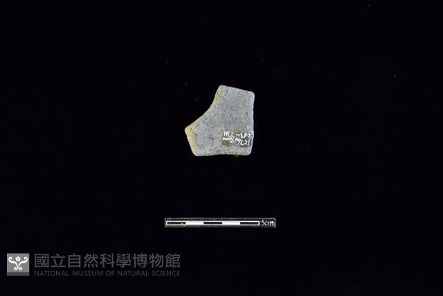 陶片藏品圖，第2張