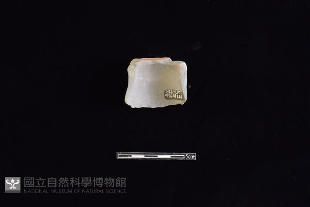 陶片藏品圖，第2張