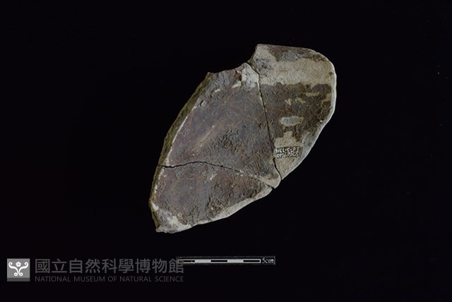 陶罐藏品圖，第2張