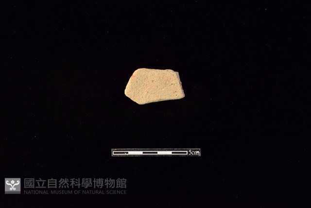 陶片藏品圖，第2張