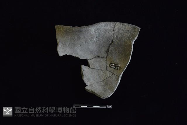 陶罐藏品圖，第2張