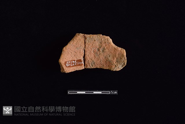 陶罐藏品圖，第2張