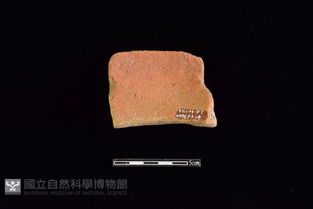 Accession Number:HLL-H PT0976 Collection Image, Figure 2, Total 2 Figures