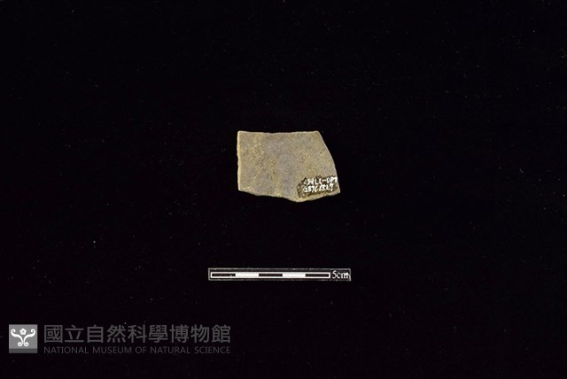 陶片藏品圖，第2張