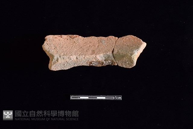 陶罐藏品圖，第2張