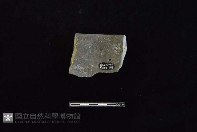 陶缽藏品圖，第2張