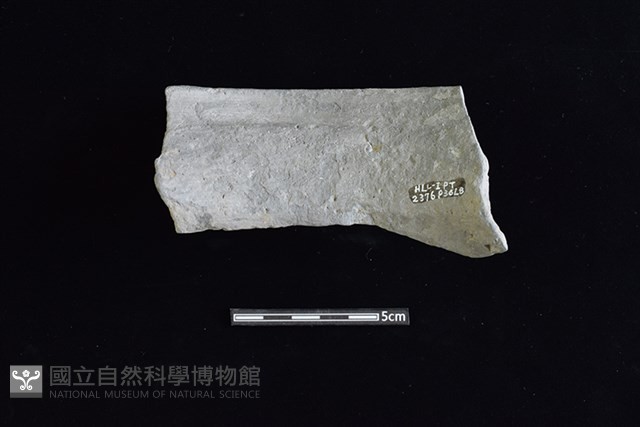 陶罐藏品圖，第2張