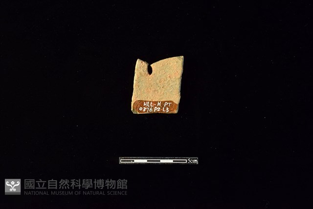 陶片藏品圖，第2張
