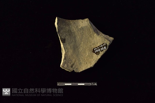 陶罐藏品圖，第2張