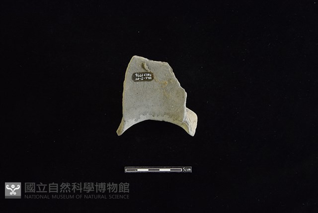 陶罐藏品圖，第2張