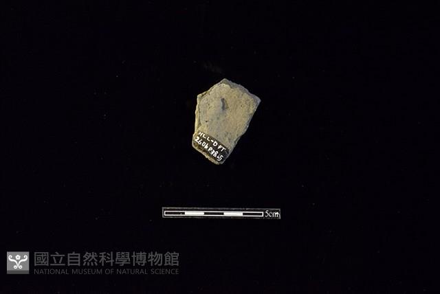 陶片藏品圖，第2張